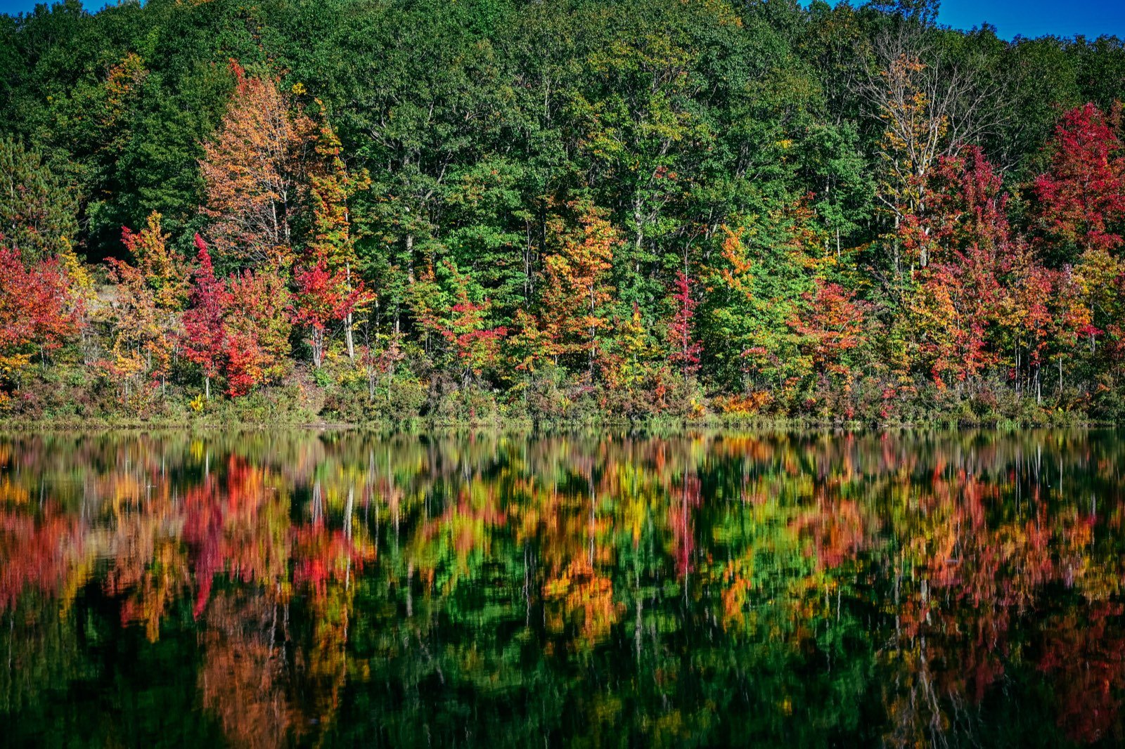Hillside of fall color mirrored in still water
