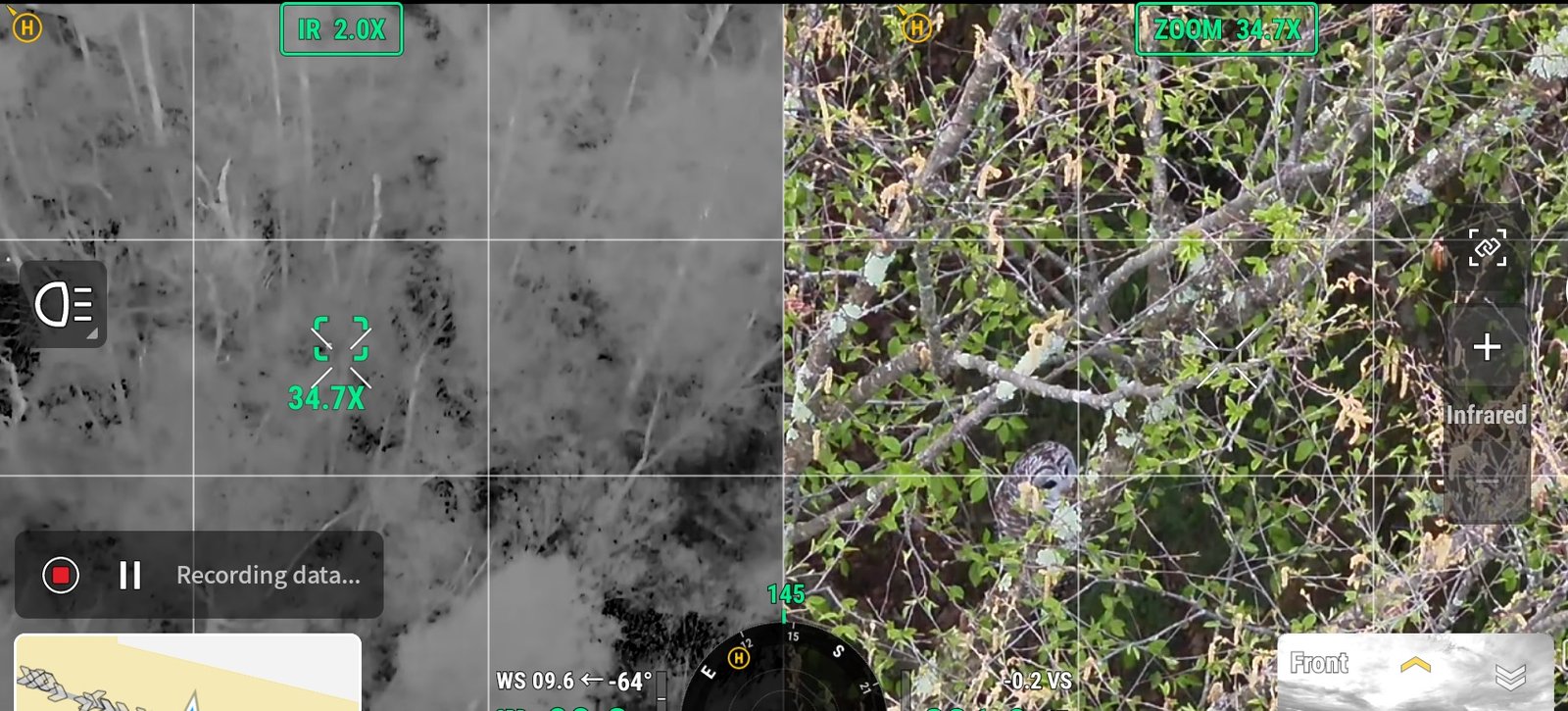 Drone controller screen with the thermal view beside the zoom camera